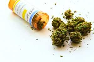 Read more about the article Cannabis vs Opioids: Solution to Chronic Pain?