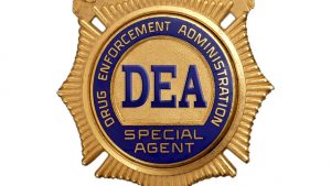 Read more about the article The DEA is Looking For Candidates to Grow Marijuana for Research